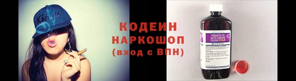 прущий лед Липки