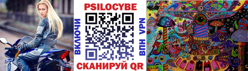 blacksprut маркетплейс  Алатырь  Галлюциногенные грибы Cubensis 